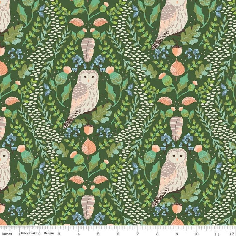 Riley Blake Wildwood Wander Hidden Owl C12431 Green