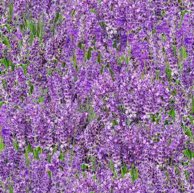 Elizabeth's Studio Landscape Medley Floral Lavender 572