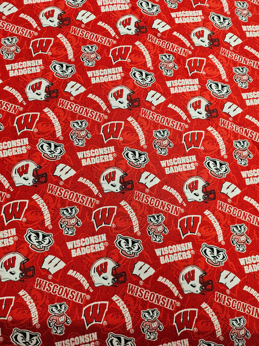 Wisconsin University Badgers Football