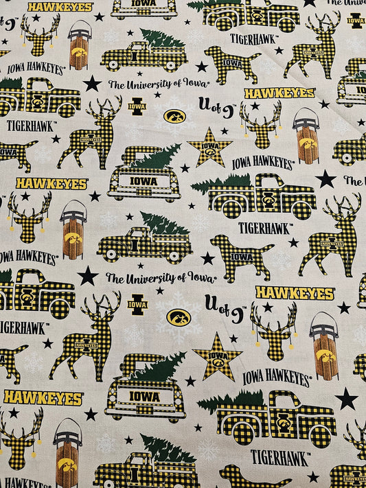 University of Iowa Tigerhawks/Hawkeyes