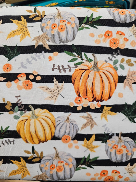 Fall Pumpkins on Black Stripe