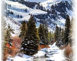 Hoffman Stay Till Winter Snow Winter Mountain Stream Panel