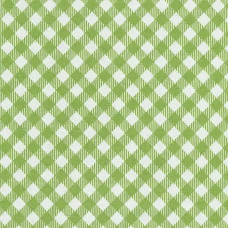 Riley Blake Designs Bee Ginghams Debbie Grannygreen by Lori Holt C12550