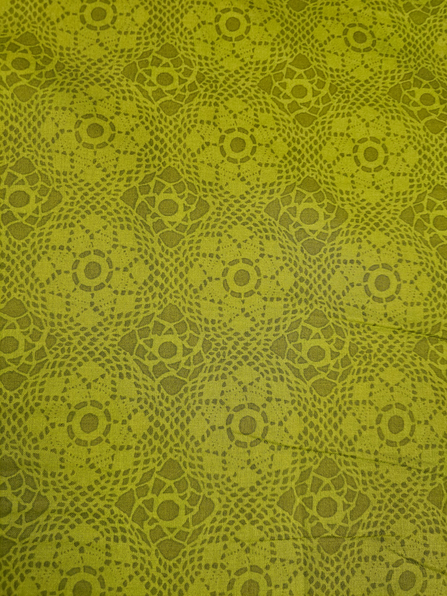 Andover Sun Print Crochet Lawn in Green