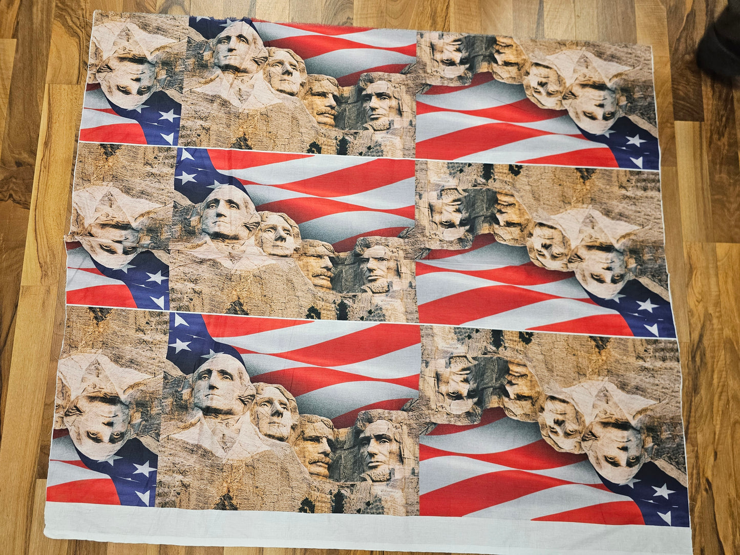 Mount Rushmore Heads 41" Panel