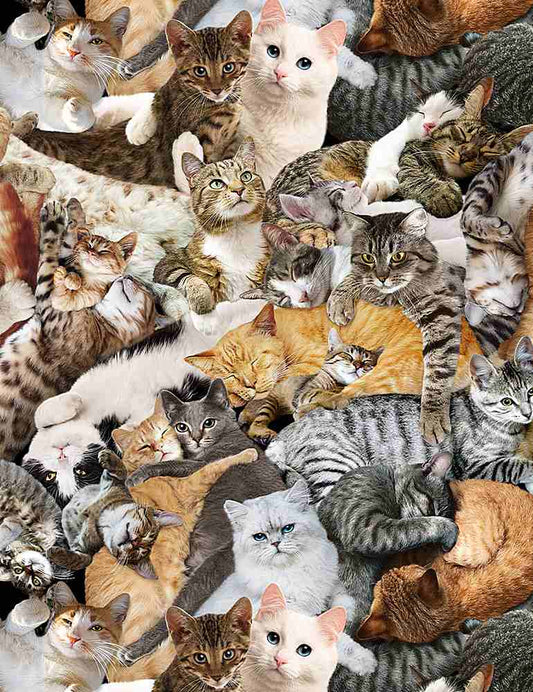 Timeless Treasures Cat Purr-fect Hangout Cuddling Cats C1033