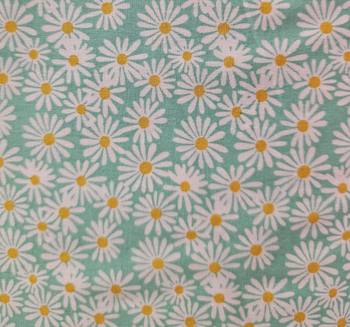 Mook Daisies in Green