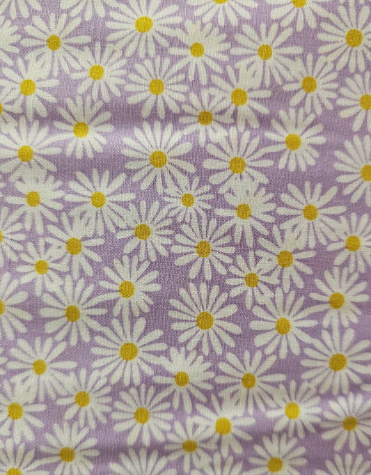 Mook Daisies in Lilac